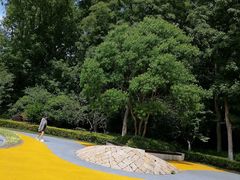 -昆山城市生态森林公园