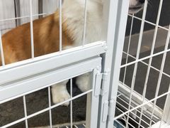 -春艳砂锅居(新玛特店)