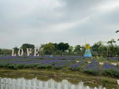 -广东花都香草世界旅游度假区