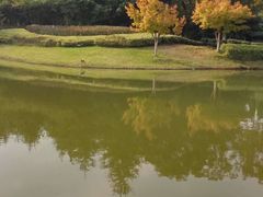 -白塘生态植物园