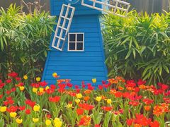 -南宫五洲植物乐园