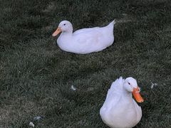 -三里河公园