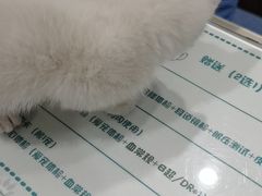 -顺强宠物诊所·狂犬免疫·夜诊·骨科(嘉定店)