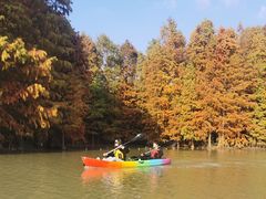 -上海海湾国家森林公园