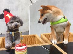 -咖星人E·T coffee·云赛空间