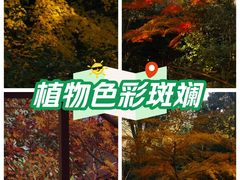 -中国茶叶博物馆(双峰馆区)