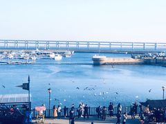 -大连圣亚海洋世界