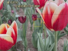 -长春公园(普阳街道)