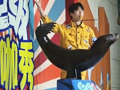 -南昌海洋公园