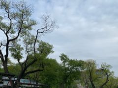 -文瀛公园
