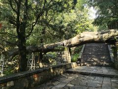 -泰山风景名胜区