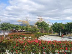 -飞来湖湿地公园