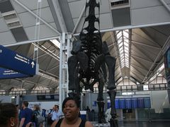 -奥黑尔国际机场