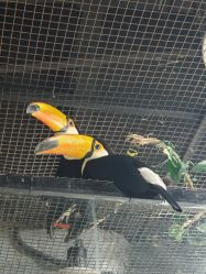 -Zoolung Zoolung动物主题公园(海信广场店)