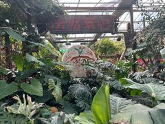 -呀路古热带植物园