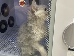 -安安宠医·安宠宠物医院