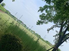 -张家巷美食(南浔店)