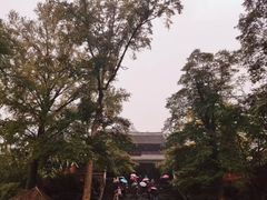 -都江堰景区