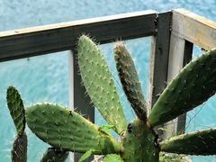 -泸沽湖里格半岛