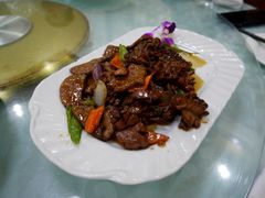-宝发园名菜馆
