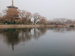 -百脉泉景区