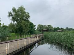 -同里国家湿地公园