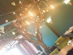 -梧桐树下(云锦世家店)