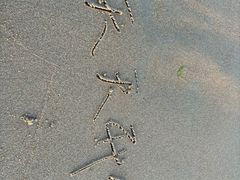 -北戴河东海水浴场