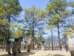 -美兰湖景区