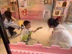-猫咪博物馆(顶澳仔猫街店)