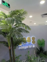-八佰伴8008星级形象店