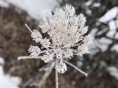 -苍山感通索道