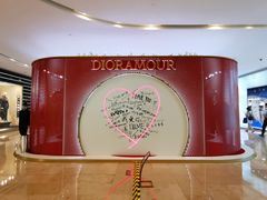 -DIOR迪奥(德基广场女装店)