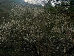 -天明山温泉大酒店