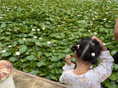 -永定河休闲森林公园
