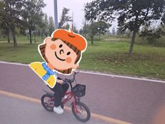 -南湖国家城市湿地公园