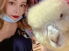 -猫色咖啡·猫咖