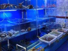 水产区-金龙·打边炉(武进路店)