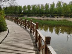 -云岗森林公园