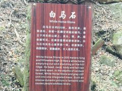 -少华山国家森林公园