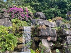 -广州神农草堂中医药博物馆