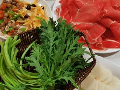 -印象高密·凤都国际大酒店