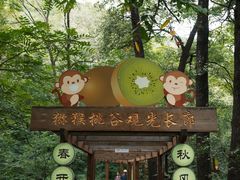 -大岭沟猕猴桃谷风景区