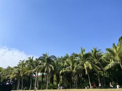 -深圳湾公园(南山区)