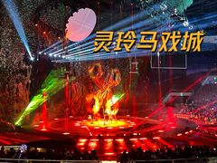 -灵玲国际马戏城