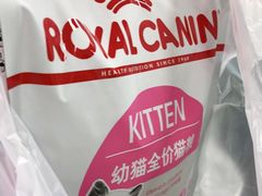 -申普宠物医院·心脏介入·心血管微创(总院)