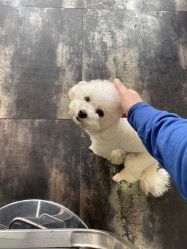 -無名发艺