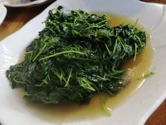 炒金花菜-小春农家乐