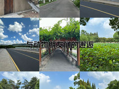 -尚湖风景区