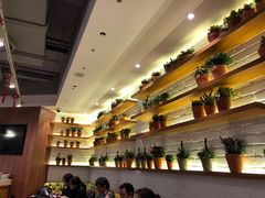 -翠華餐廳(浦东机场T1店)